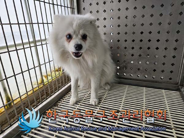 한국동물구조관리협회_441392202400320